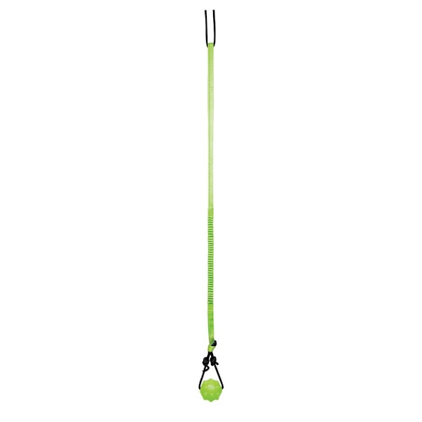 Jolly Pets Hund Leksak One Size Grön/Svart Green/Black One Size