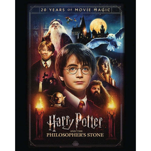 Harry Potter 20 år av magic affisch One Size Multicolou Multicoloured One Size