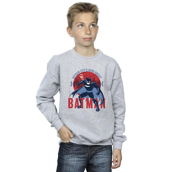 DC Comics Boys Batman Gotham City Sweatshirt 3-4 år Sports G Sports Grey 3-4 Years