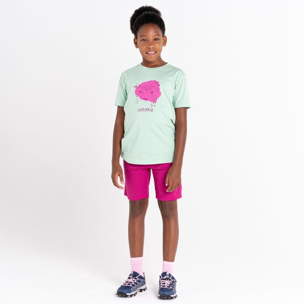 Dare 2B Barn/Barn Trailblazer Leopard T-shirt 9-10 År G Grayed Jade 9-10 Years