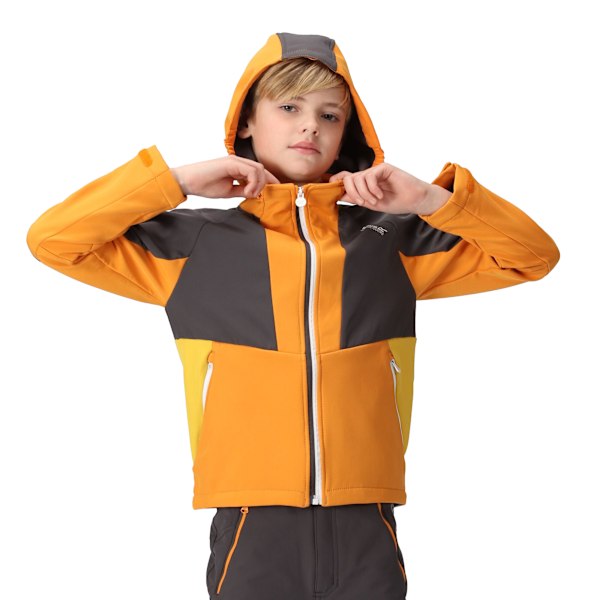 Regatta Haydenbury Softshelljacka för barn 13 år Orange Pepper/Seal Grey Orange Pepper/Seal Grey 13 Years