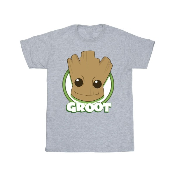 Guardians Of The Galaxy Boys Groot Badge T-shirt 7-8 Years Spor Sports Grey 7-8 Years