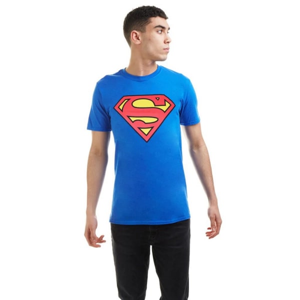 Superman Herr Logotyp bomull T-shirt XL Kungsblå/Röd Royal Blue/Red XL