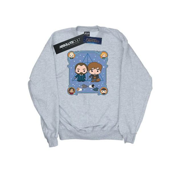 Fantastiska vidunder Boys Chibi Newt och Dumbledore Sweatshirt 9-11 Sports Grey 9-11 Years