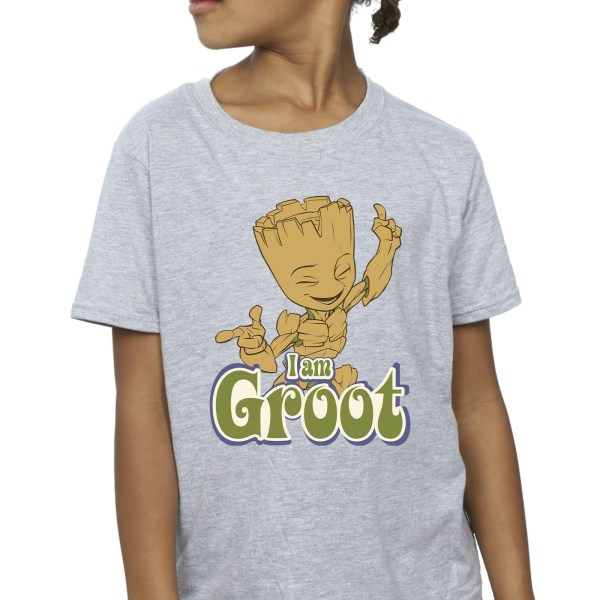 Guardians Of The Galaxy Girls Groot Dancing Cotton T-shirt 12-1 Sports Grey 12-13 Years