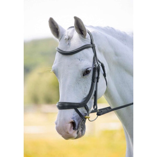 Velociti Ergonomisk Läder Böjd Häst Flash Bridle Ponny Svart Black Pony