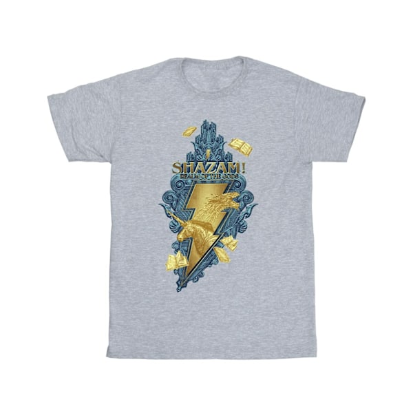 DC Comics Girls Shazam Fury Of The Gods Golden Animal Bolt Bomull T-shirt 7-8 år Sports Grey Sports Grey 7-8 Years