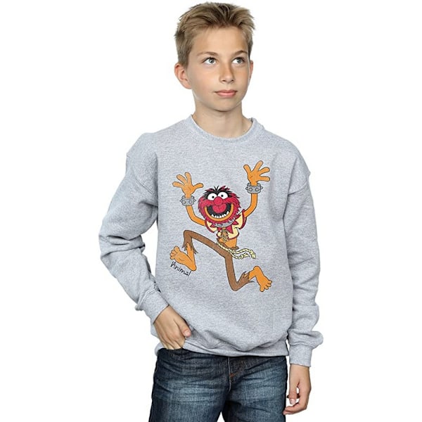 The Muppets Boys Classic Animal Sweatshirt 9-11 år Sports Grå Sports Grey 9-11 Years