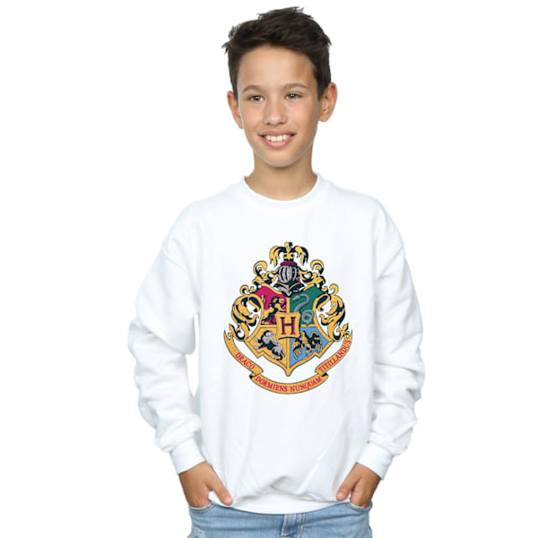 Harry Potter Pojkar Hogwarts Crest Guld Bläck Sweatshirt 12-13 År White 12-13 Years