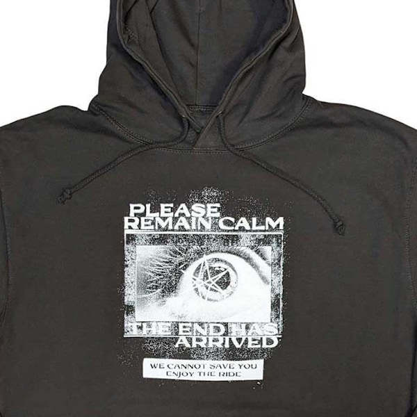 Bring Me The Horizon Unisex Vuxen Remain Calm FP Hoodie L Grå Grey L