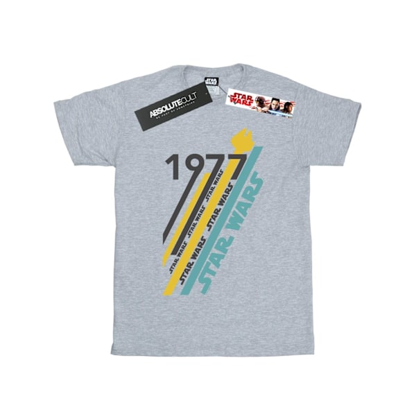 Star Wars Retro 77 Stripes T-shirt M Sports Grey för män Sports Grey M