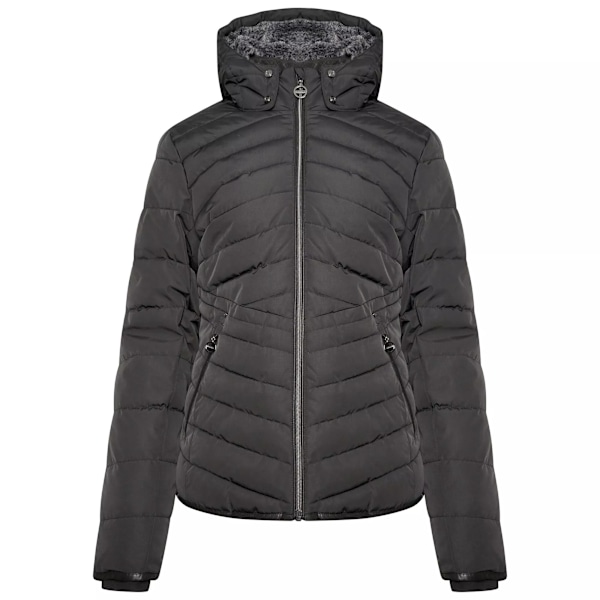 Dare 2B Dam/Kvinnor Striking Vadderad Jacka 12 UK Svart Black 12 UK