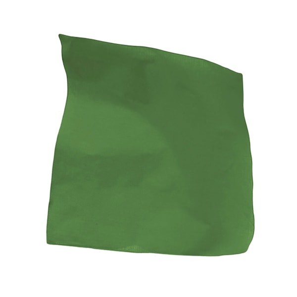 Atlantis Goal Bandana One Size Grön Green One Size