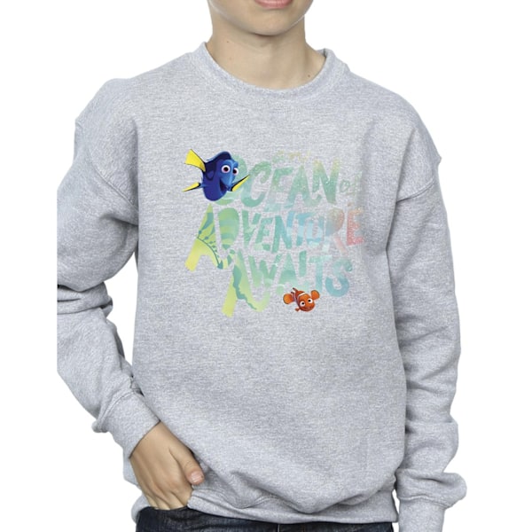 Disney Boys Finding Dory Ocean Of Adventure Sweatshirt 3-4 År Sports Grey 3-4 Years