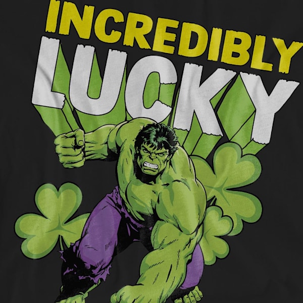 Hulk Unisex Vuxen Otroligt Tursam St Patricks Day T-Shirt L Bl Black L