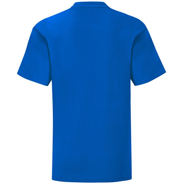 Fruit Of The Loom Barn/Barnkläder Ikonisk T-shirt 14-15 år Roy Royal Blue 14-15 Years