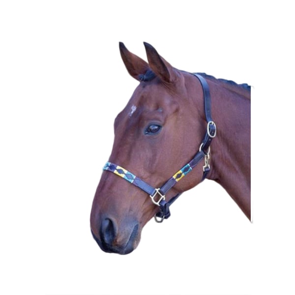 Blenheim Läder Polo Horse Headcollar Hel Rosa/Mörkgrön/Yel Pink/Dark Green/Yellow Full