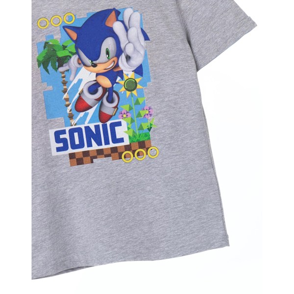 Sonic The Hedgehog Barn/Barn Sonic T-shirt 9-10 år Grå Grey Marl 9-10 Years