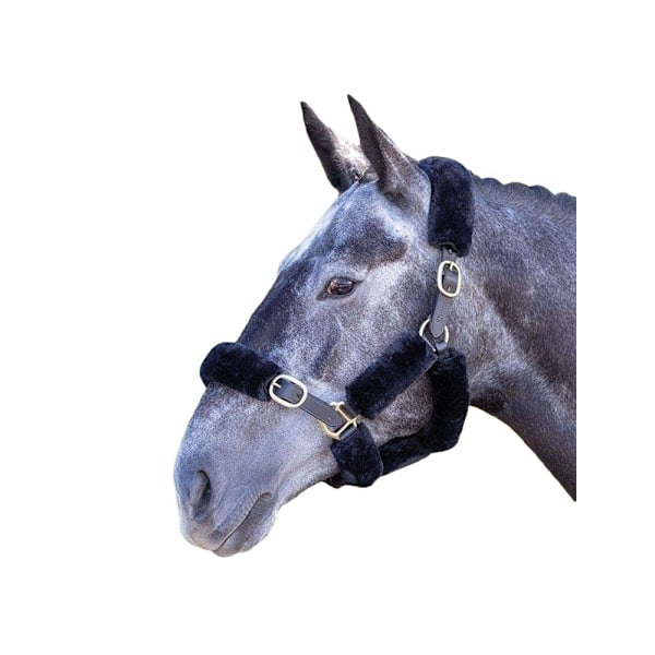 Performance Horses SupaFleece Halter Fleeces (6-pack) En Storlek Svart Black One Size