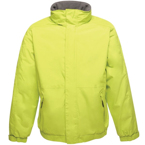 Regatta Dover Vattentät Vindtät Jacka (Thermo-Guard Isolering) Key Lime/Seal Grey XL