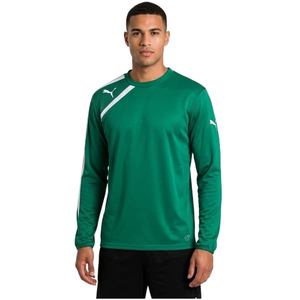 Puma Herr Spirit Regular Sweatshirt L Grön Green L