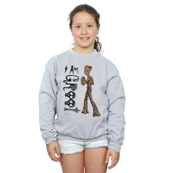 Avengers Infinity War Girls I Am Teenage Groot Sweatshirt 9-11 Sports Grey 9-11 Years