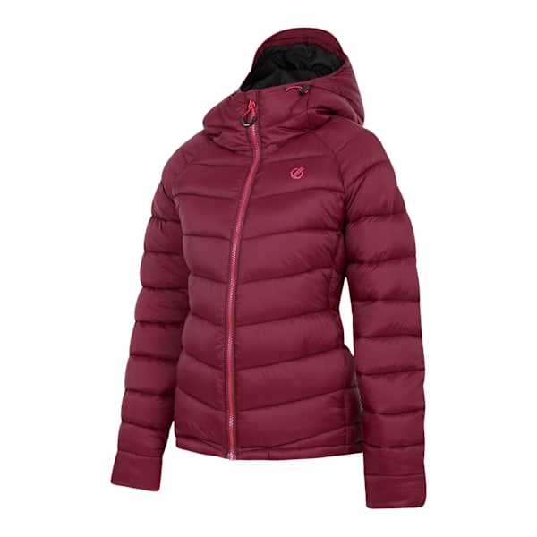 Dare 2B Dam/Dam Torrek Vadderad Jacka 16 UK Fig Fig 16 UK
