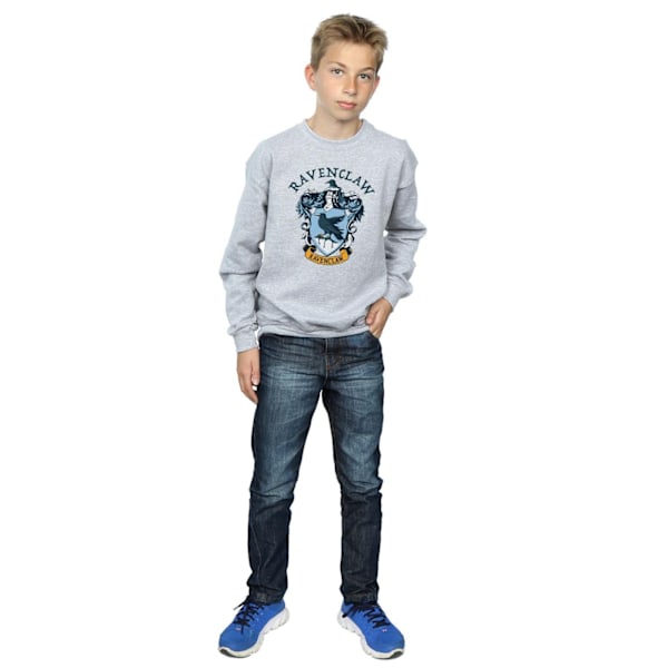 Harry Potter Pojkar Ravenclaw Sweatshirt 5-6 År Sports Grey Sports Grey 5-6 Years