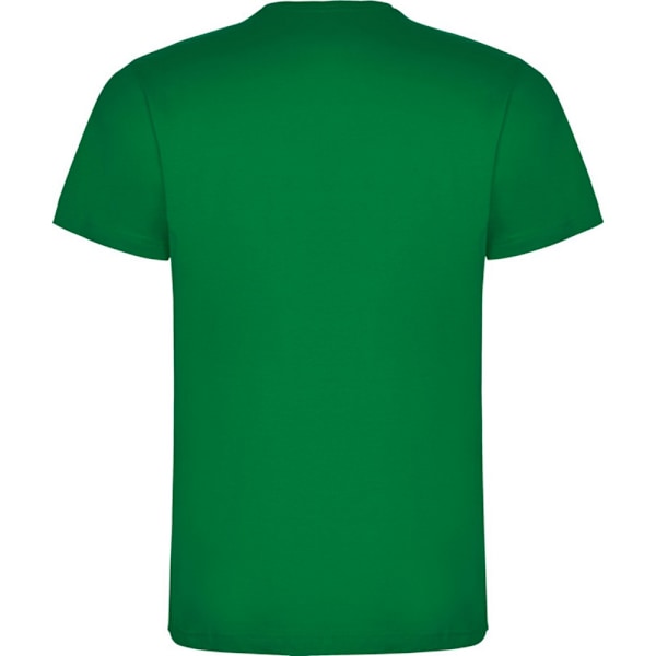 Roly Barn/Barn Dogo T-Shirt 5-6 År Tropical Green Tropical Green 5-6 Years