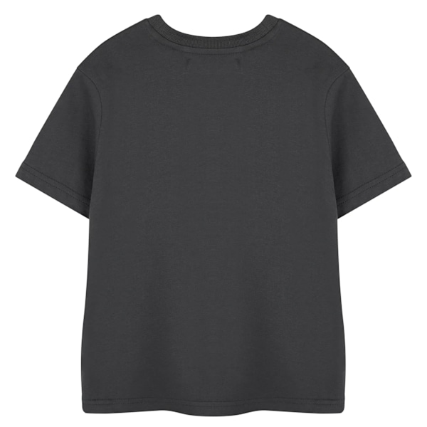 Sonic The Hedgehog Pojkar Akvarell Kortärmad T-shirt 7-8 År Charcoal 7-8 Years