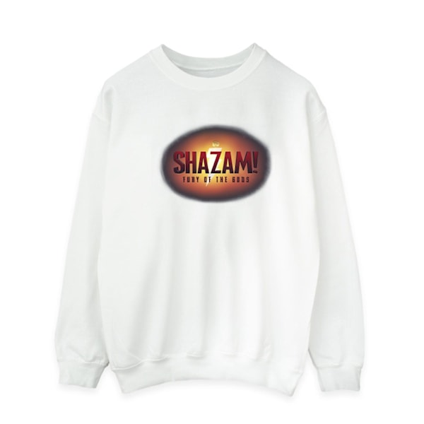 DC Comics Herr Shazam Fury Of The Gods 3D Logo Flare Sweatshirt White S