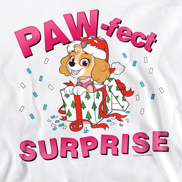 Paw Patrol Unisex Vuxen Den Paw-Fekta Julklappen Skye Tröjor White L