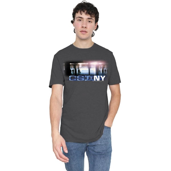 CSI Unisex Vuxen New York Subway T-Shirt XL Gråmelerad Charcoal XL