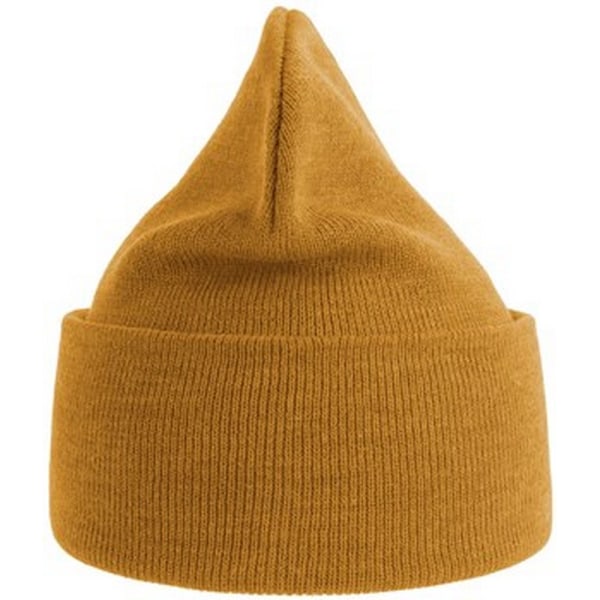 Atlantis Unisex Vuxen Ren Beanie i Ren Återvunnet Material En Storlek Senapsgul Mustard Yellow One Size