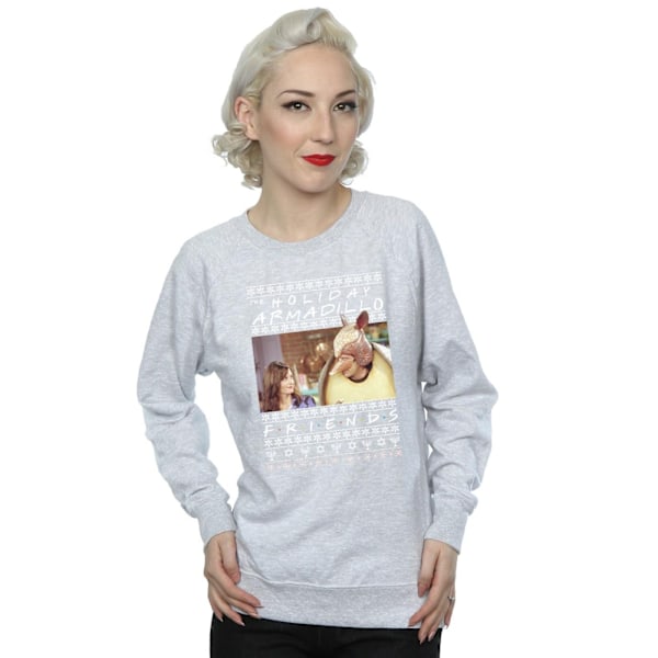 Friends Dam/Damer Fair Isle Holiday Armadillo Sweatshirt M Sports Grey M