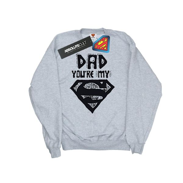 DC Comics Girls Superman Super Dad Sweatshirt 12-13 år Sport Sports Grey 12-13 Years