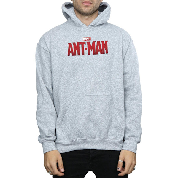 Marvel Herr Ant-Man Filmlogotyp Hoodie 3XL Sports Grey Sports Grey 3XL