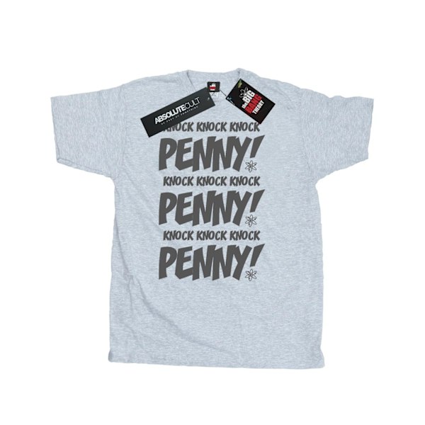 The Big Bang Theory Herr Sheldon Knock Knock Penny T-shirt XL S Sports Grey XL