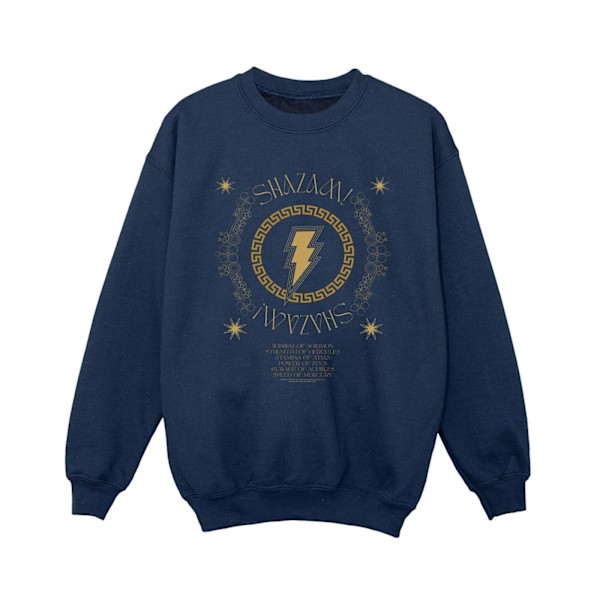 DC Comics Boys Shazam Fury Of The Gods Golden Spiral Chest Sweatshirt Navy Blue 3-4 Years