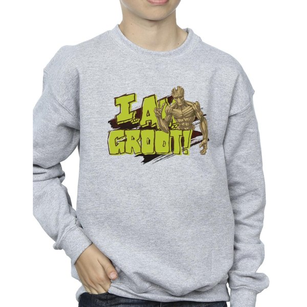 Guardians Of The Galaxy Boys I Am Groot Sweatshirt 9-11 Years S Sports Grey 9-11 Years