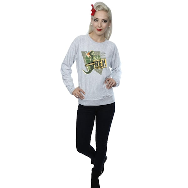 Disney Dam/Kvinnor Toy Story Partysaurus Rex Sweatshirt S Hea Heather Grey S