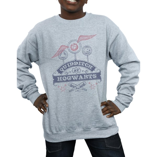 Harry Potter Pojkar Quidditch På Hogwarts Sweatshirt 7-8 År Sp Sports Grey 7-8 Years