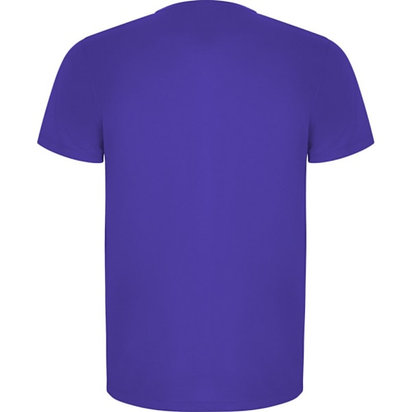 Roly Barn/Barn Imola Kortärmad Sport T-shirt 8 År Mauve 8 Years