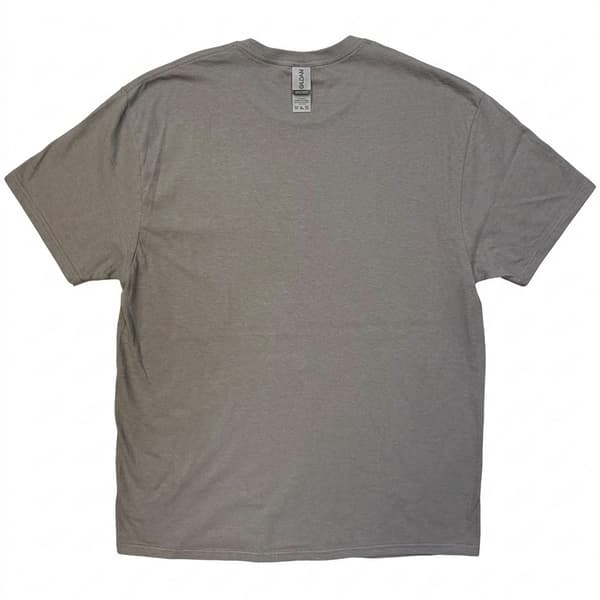 Blur Unisex Vuxen Hens Teeth T-shirt M Kolgrå Charcoal Grey M