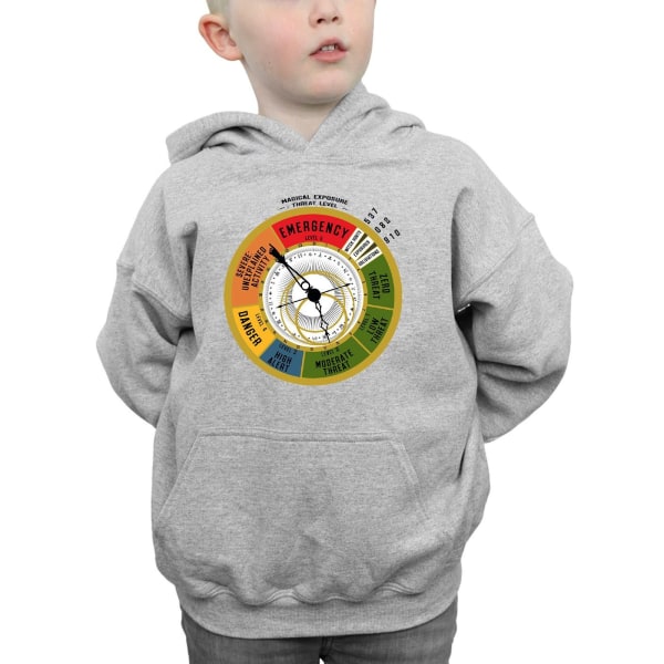 Fantastic Beasts Boys Threat Level Hoodie 9-11 Years Sports Gre Sports Grey 9-11 Years