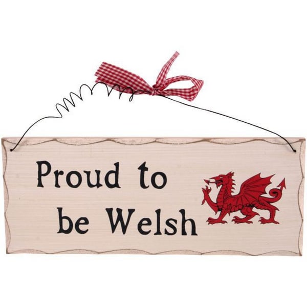 Something Different Proud To Be Welsh Hängande skylt En storlek Mul Multicoloured One Size