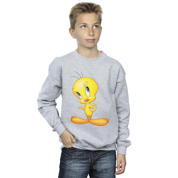 Looney Tunes Pojkar Tweety Stående Sweatshirt 9-11 År Sport Sports Grey 9-11 Years