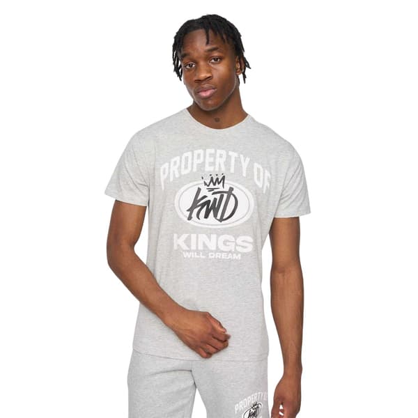 Kings Will Dream Herr Prop Grafiskt Tryck Bomulls T-shirt M Grå Grey M