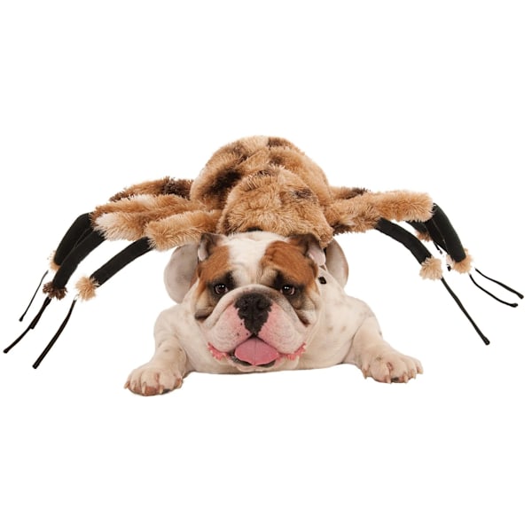 Bristol Novelty Spider Hundkostym L Brun/Svart/Vit Brown/Black/White L