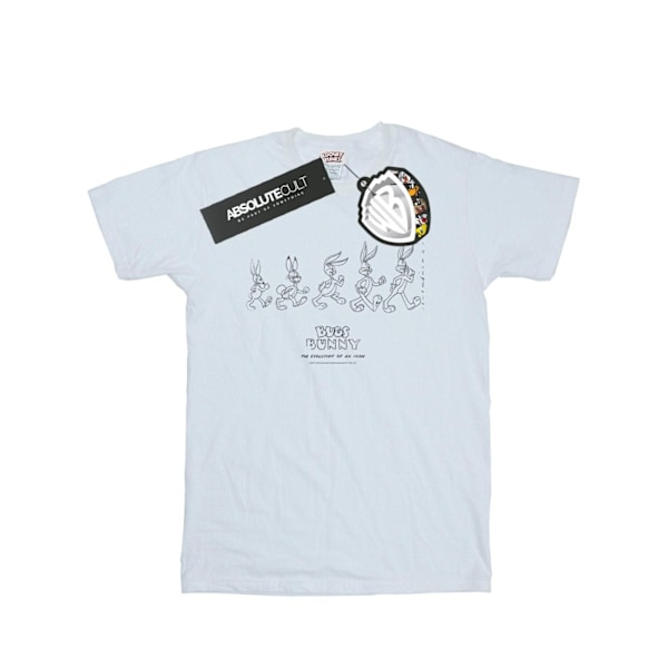 Looney Tunes Herr Bugs Bunny Evolution T-shirt 4XL Vit White 4XL